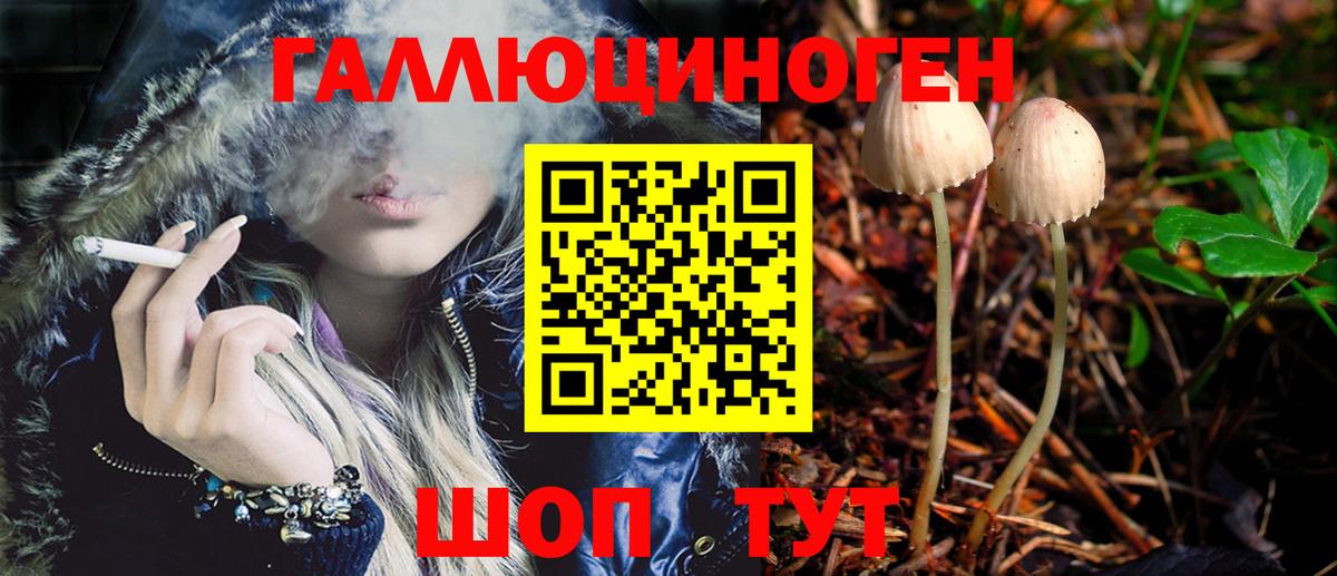 Псилоцибиновые грибы мухоморы Белово