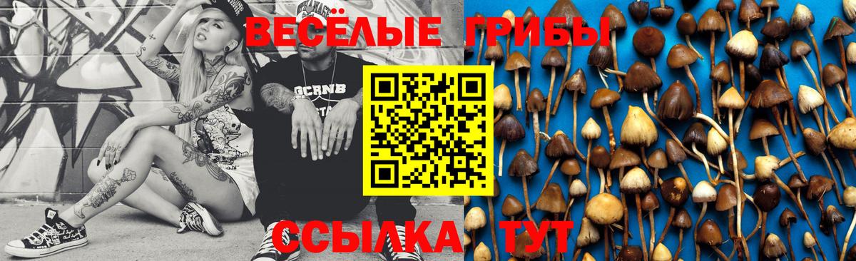 Псилоцибиновые грибы Psilocybe  Вход с VPN  где купить наркоту  Белово  Псилоцибиновые грибы Cubensis 
